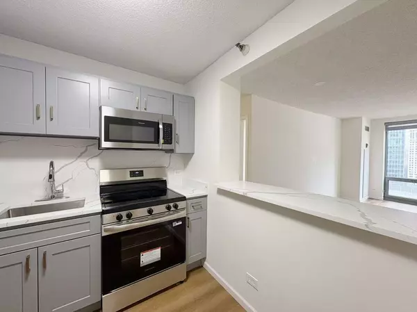 Chicago, IL 60611,440 N WABASH Street #1807