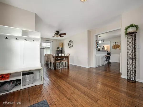 Lake In The Hills, IL 60156,11 Woody Way