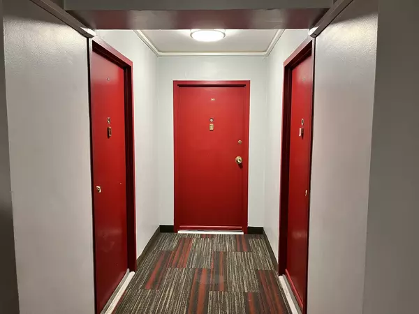 Chicago, IL 60649,7337 S South Shore Drive #1101