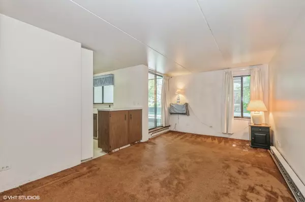 Arlington Heights, IL 60005,354 W Miner Street #1B