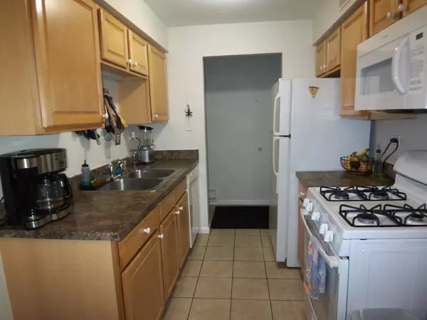 Mount Prospect, IL 60056,1500 S Busse Road #2D