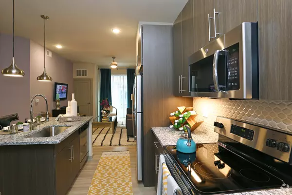 Schaumburg, IL 60173,690 E Algonquin Road #3103