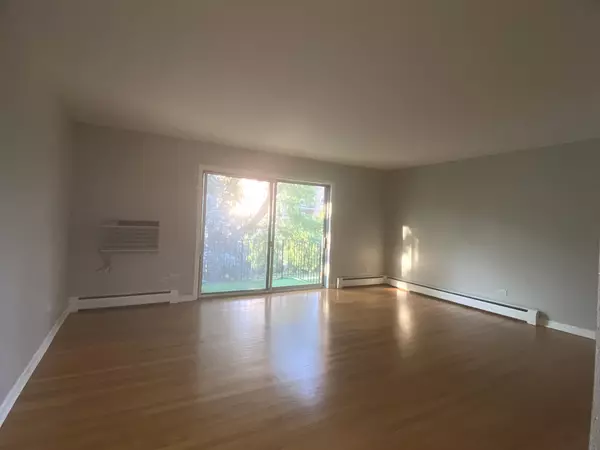 Des Plaines, IL 60016,1353 Perry Street #6