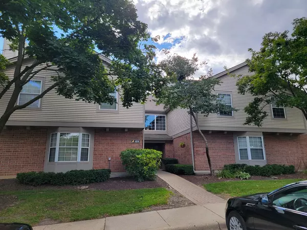 123 Willow Brook Court #3, Schaumburg, IL 60195