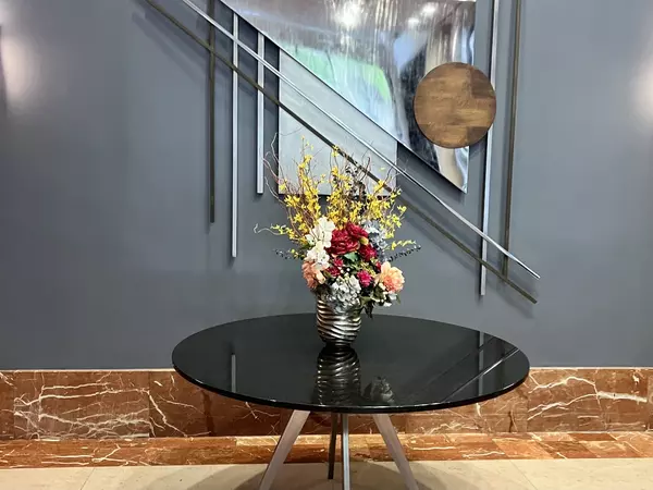 Chicago, IL 60611,211 E OHIO Street #809