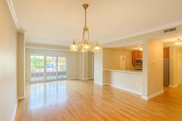 Arlington Heights, IL 60005,44 N Vail Avenue #205