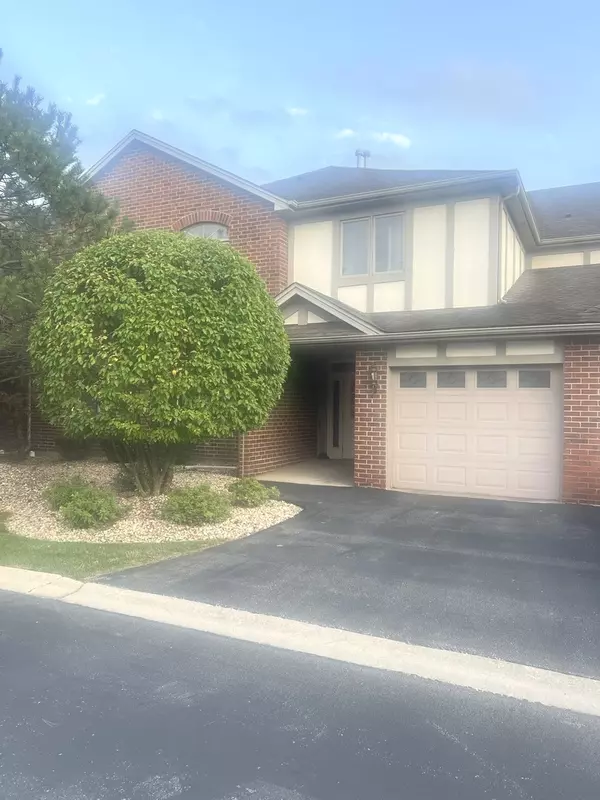 Tinley Park, IL 60477,6243 Misty Pines Drive #1