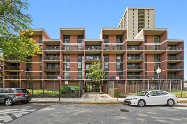 2921 S Michigan Avenue #202, Chicago, IL 60616