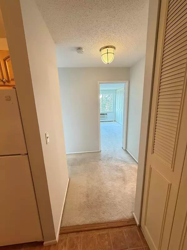 Arlington Heights, IL 60005,1106 S New Wilke Road #404