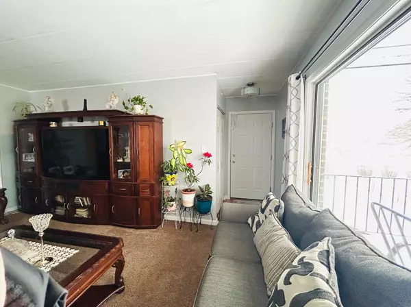 Tinley Park, IL 60477,6329 175th Street #2N