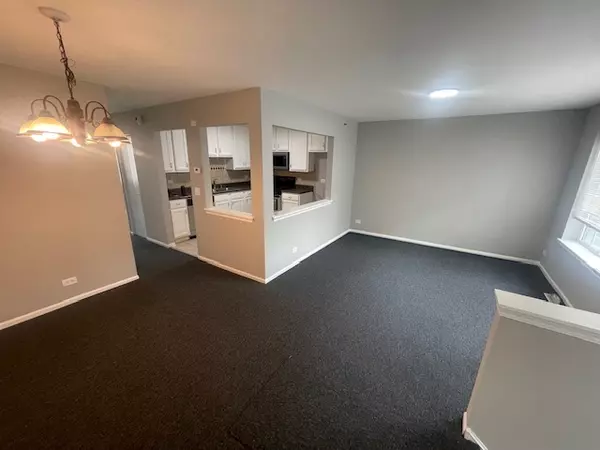 Bolingbrook, IL 60440,316 FIELDSTONE Court #316