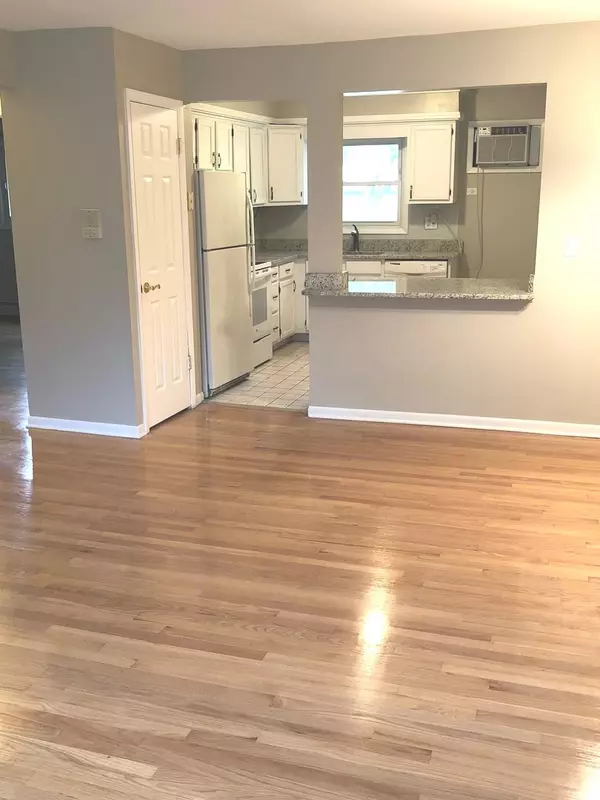 River Forest, IL 60305,7952 Madison Street #3W