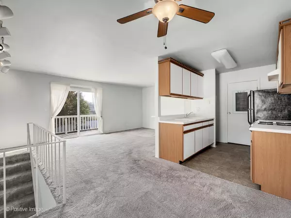 Wheaton, IL 60189,1393 WOODCUTTER Lane #D