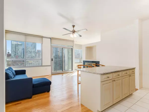 Chicago, IL 60607,701 S Wells Street #1102