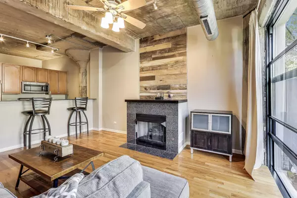 Chicago, IL 60608,1070 W 15th Street #306