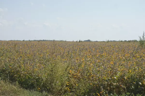 Armington, IL 61721,Vacant Grove Road