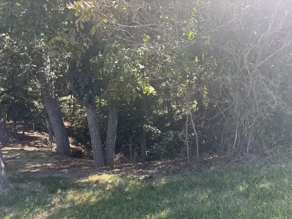 Varna, IL 61375,1638 Tanglewood Drive