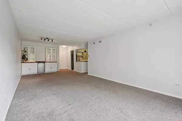 Des Plaines, IL 60016,650 S River Road #306