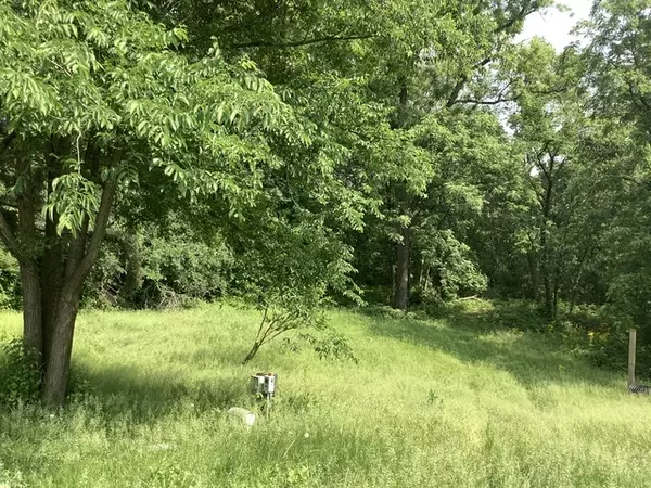 New Lenox, IL 60451,338 Willow Street