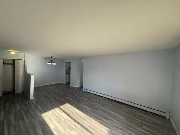 Hoffman Estates, IL 60169,1195 Meadow Lane #114