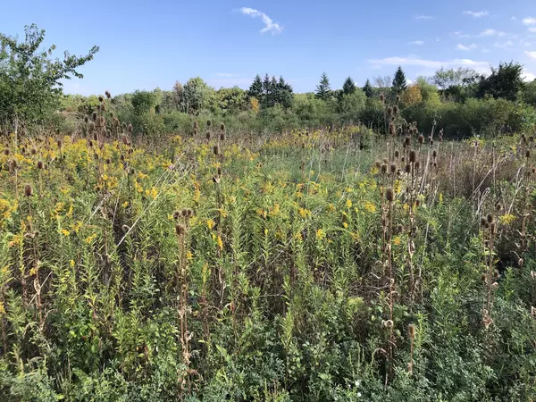 Mettawa, IL 60048,8 Alexandra Drive