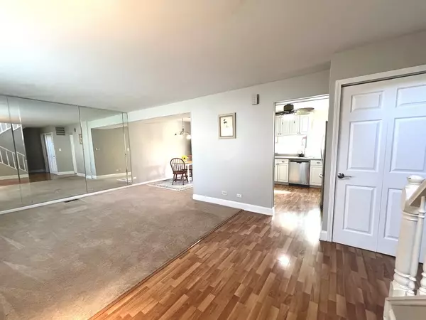 Hoffman Estates, IL 60192,1669 Cape Breton Court