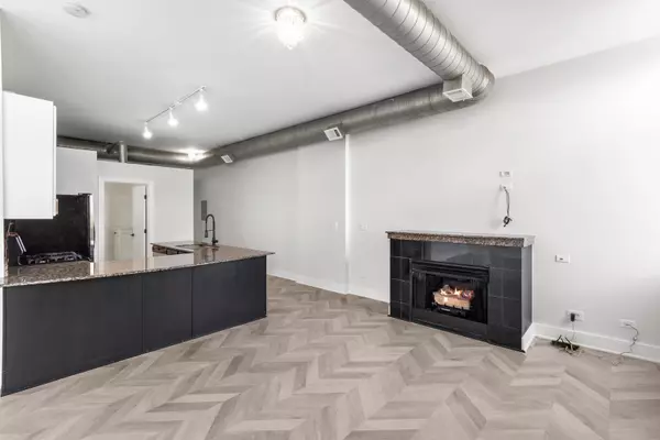 Chicago, IL 60622,2101 W Rice Street #402