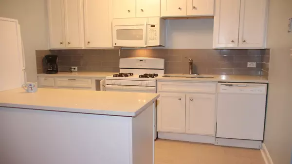 Oak Park, IL 60302,1040 Ontario Street #3H