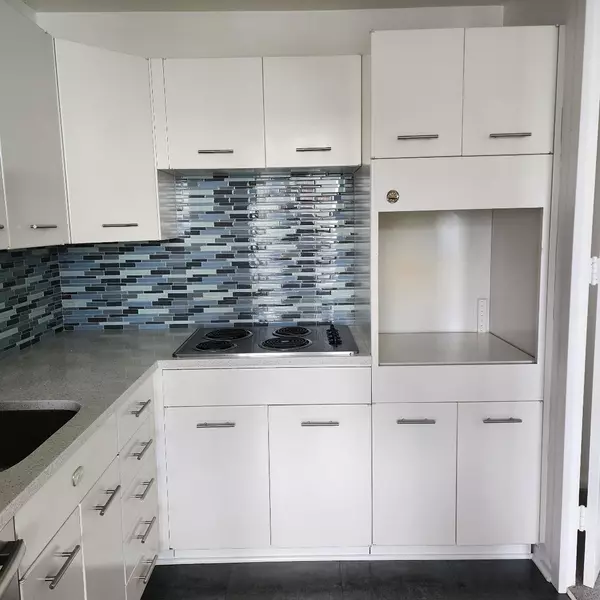 Chicago, IL 60615,4800 S Chicago Beach Drive #1811S