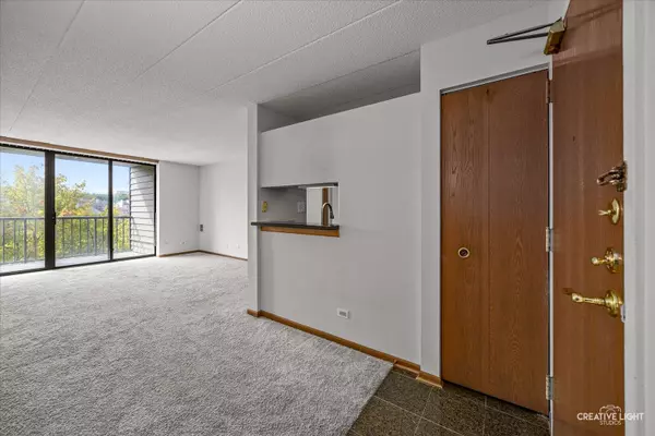 Schaumburg, IL 60195,75 Kristin Circle #310