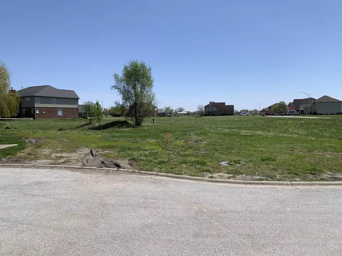 Lynwood, IL 60411,19641 Christina Place