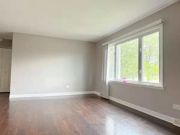 Orland Park, IL 60462,8925 Golfview Drive