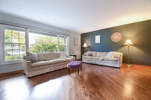 Arlington Heights, IL 60004,803 W Burr Oak Drive