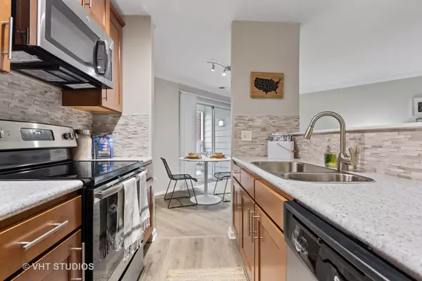 Schaumburg, IL 60173,63 Aster Drive #1816