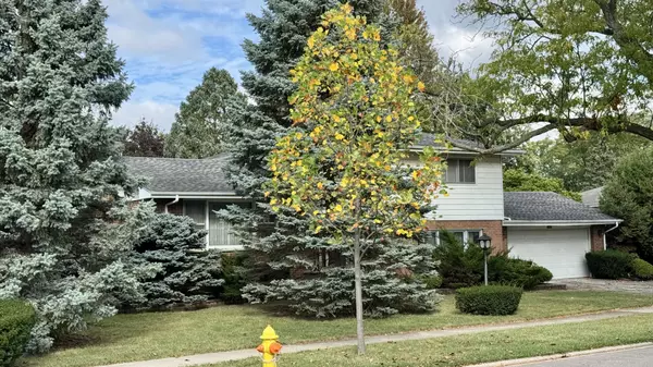 Mount Prospect, IL 60056,900 E Golfview Drive