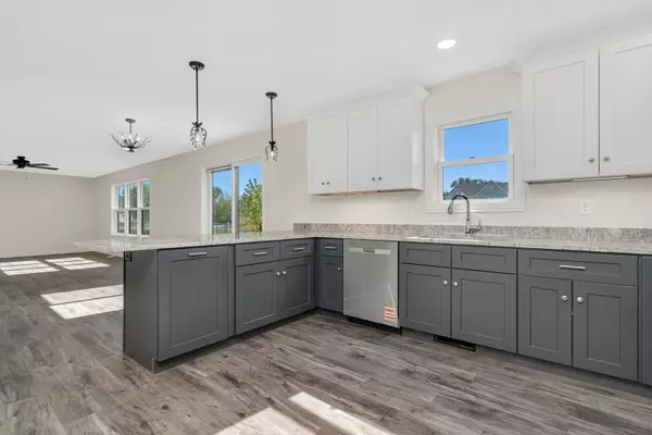 Coal City, IL 60416,903 Springhill Drive