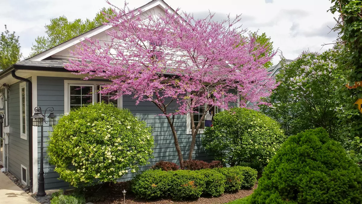 Glen Ellyn, IL 60137,22w474 Emerson Avenue