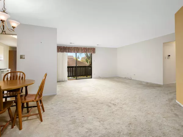 Palatine, IL 60074,932 E Coach Road #8