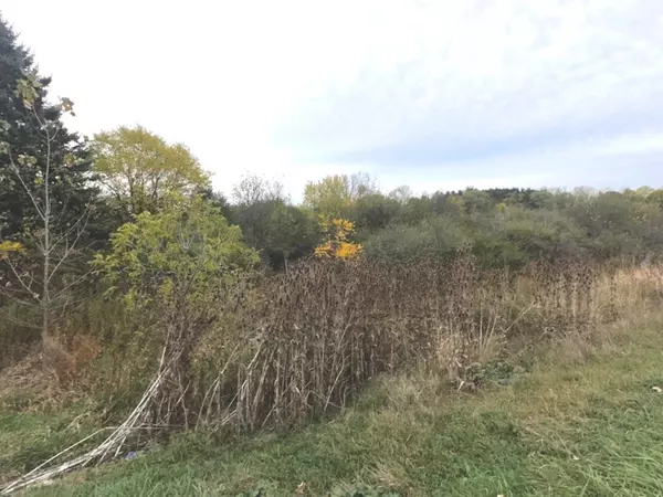 Wadsworth, IL 60083,17320 W IL. Route 173