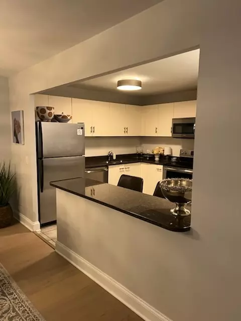 Chicago, IL 60611,110 E Delaware Place #2003