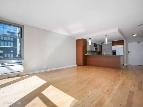 Chicago, IL 60611,30 E ELM Street #14E