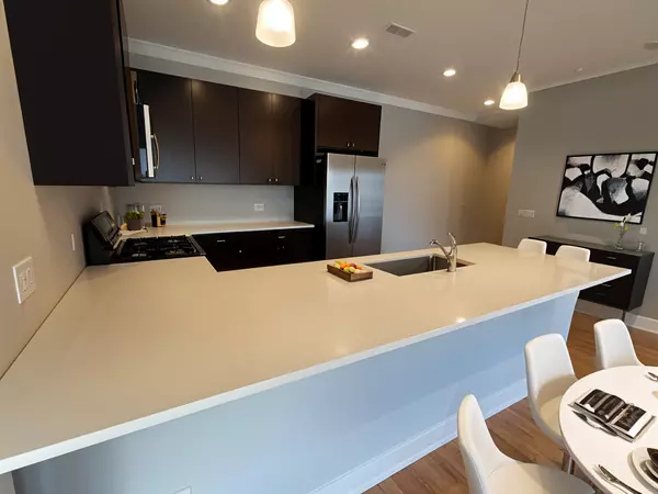 Chicago, IL 60641,4812 W Montrose Avenue #204