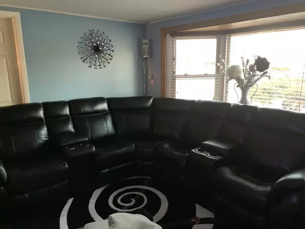 Steger, IL 60475,3506 William Street