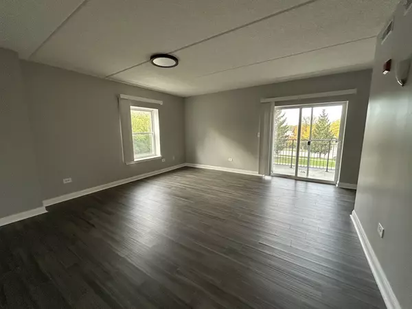 Arlington Heights, IL 60004,3420 N Old Arlington Heights Road #209