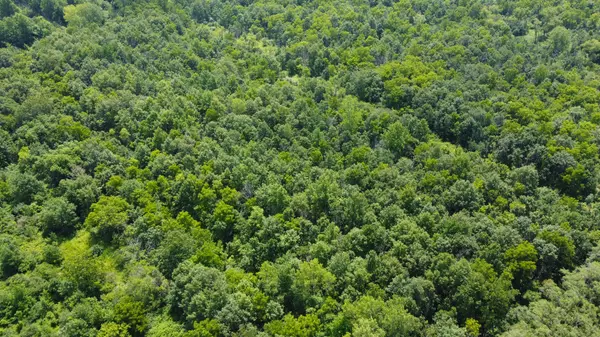 Harvard, IL 60033,41.94 Acres Route 14