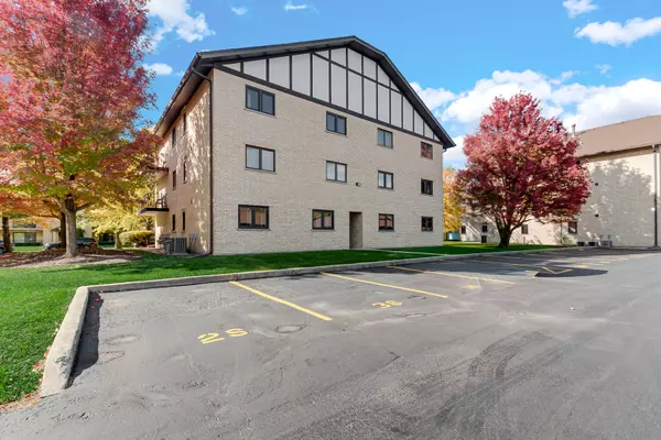 Tinley Park, IL 60477,17961 Royal Oak Court #1S