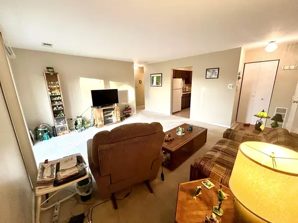 Mount Prospect, IL 60056,709 W Central Road #C5