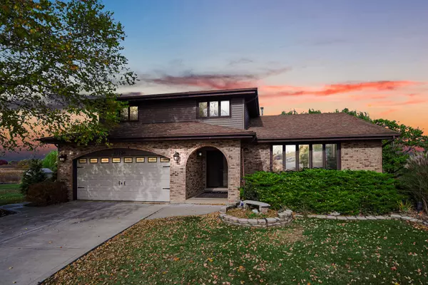 13226 Farm View Street, Homer Glen, IL 60491