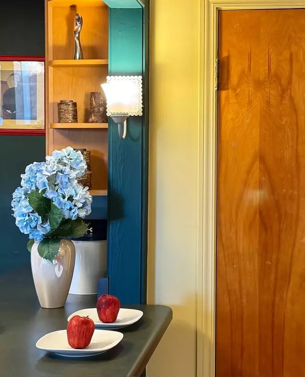 Des Plaines, IL 60016,911 E Villa Drive