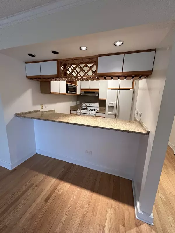 Chicago, IL 60614,401 W Webster Avenue #502